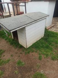 cuccia taglia grande