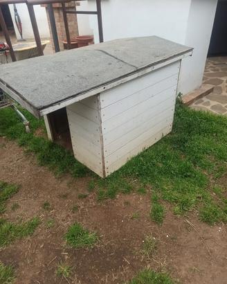 cuccia taglia grande