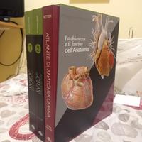 Anatomia del Gray + Netter Atlante di Anatomia