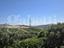 Immagine 27