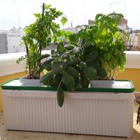 Fioriera idroponica elettrica