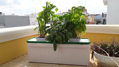 Fioriera idroponica elettrica
