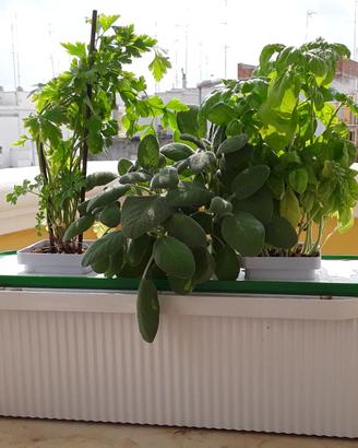 Fioriera idroponica elettrica