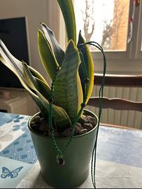 Collana fatta a mano in Macramé