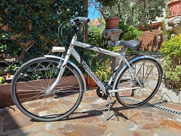 bicicletta da uomo ruote da 26