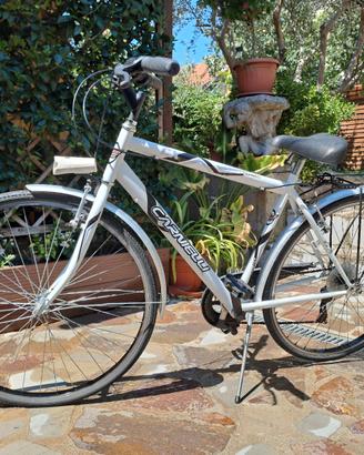 bicicletta da uomo ruote da 26