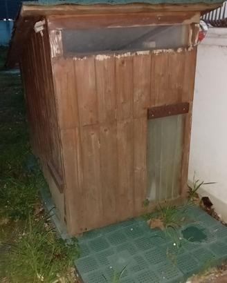 Cuccia per cani taglia media