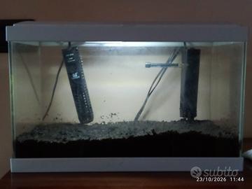 Acquario piccolo 
