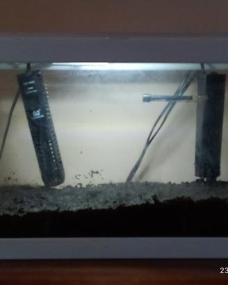 Acquario piccolo 