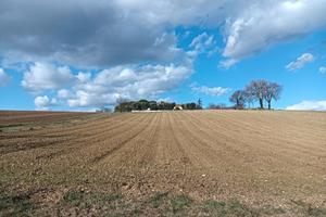 Terreno agricolo 6 Ettari