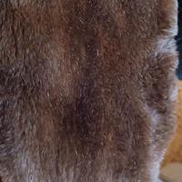 Pelliccia vintage probabile castoro