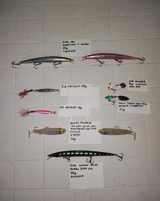 Pesca spinning set artificiali