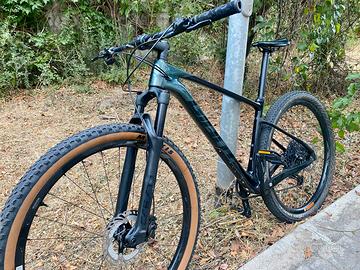 Bici Carbonio Catania Giant