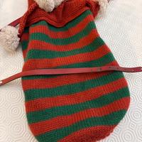 Cappottino per cane