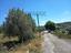 Immagine 26