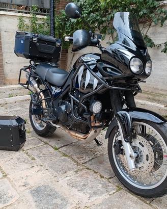 TRIUMPH TIGER 955i