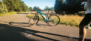 Bicicletta