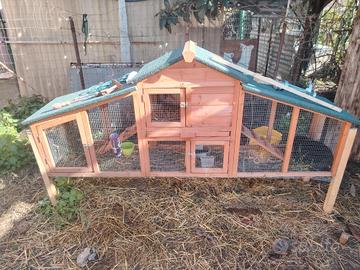  Gabbia con 2 coniglie nane incinte 