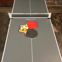 Tavolo ping pong e biliardo