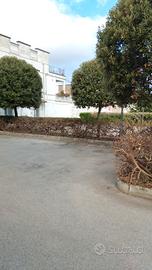 parcheggio 