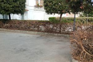 parcheggio 