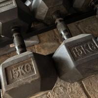 Manubri esagonali gommati 15 kg coppia