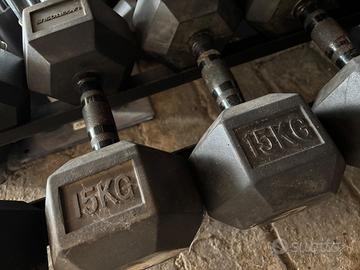 Manubri esagonali gommati 15 kg coppia