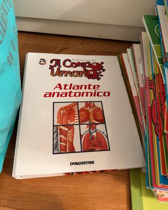 Enciclopedia del corpo umano