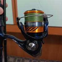 Moli outset e Daiwa revros