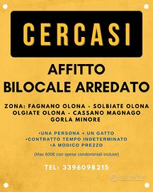 Bilocale arredato