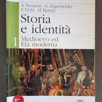 Prosperi, Zagrebelsky, Viola, Storia e identità 1
