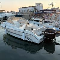 SESSA OYSTER 18 + motore 115