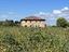 Immagine 6