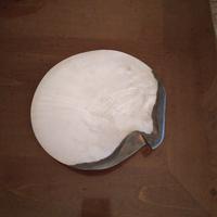 Conchiglia in madreperla 