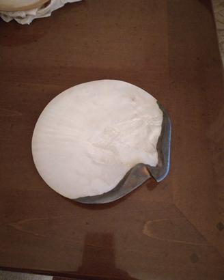 Conchiglia in madreperla 