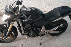 honda hornet