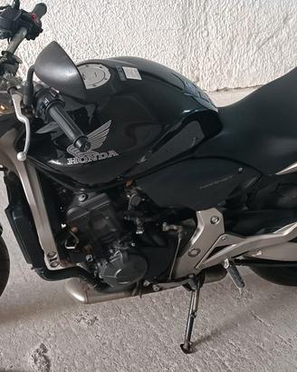 honda hornet