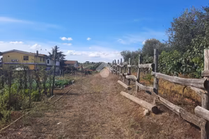 TER. AGRICOLO A ALBANO LAZIALE
