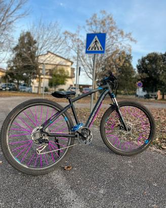 rockrider