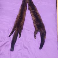 pelliccia di ermellino