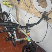 Regina  Special 26" - Comoda, Revisionata e Pronta