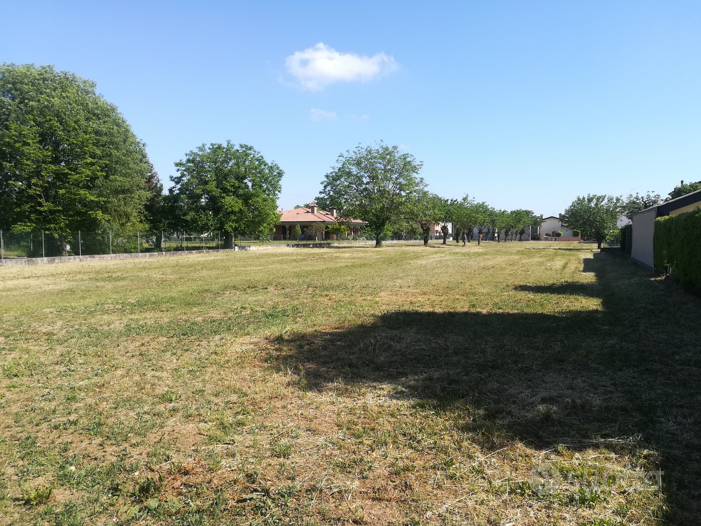 Terreno edificabile e agricolo - Vista 4