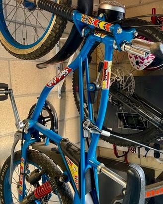 Bicicletta