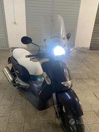 Scarabeo 500