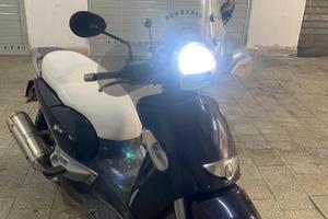 Scarabeo 500