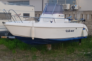 Barca Whalkaround CAD 20 Yamaha 115