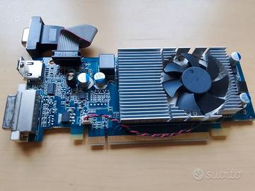 Scheda Video NVIDIA GeForce 310 512MB DDR2