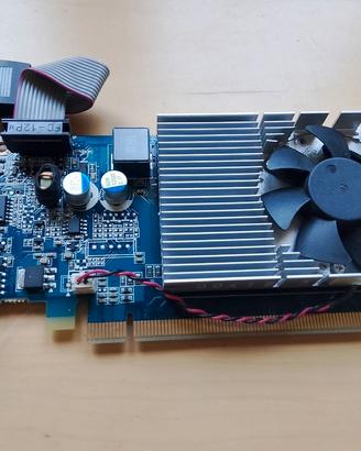 Scheda Video NVIDIA GeForce 310 512MB DDR2