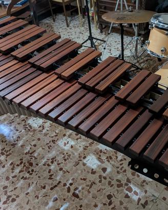 Marimba 4.3 Ottave Adams MCPV43 Concert