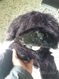 Peluche cane terranova